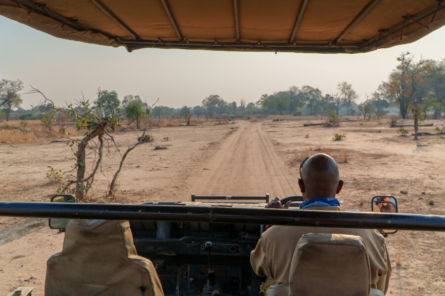 Anti‑Poaching Equipment Supplied to African Parks Benin